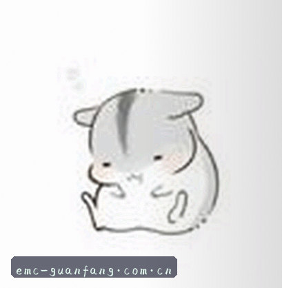 郑宇